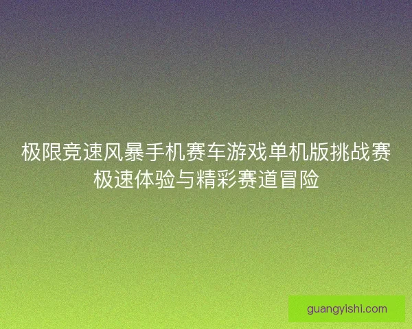 极限竞速风暴手机赛车游戏单机版挑战赛极速体验与精彩赛道冒险