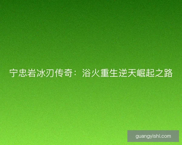 宁忠岩冰刃传奇：浴火重生逆天崛起之路