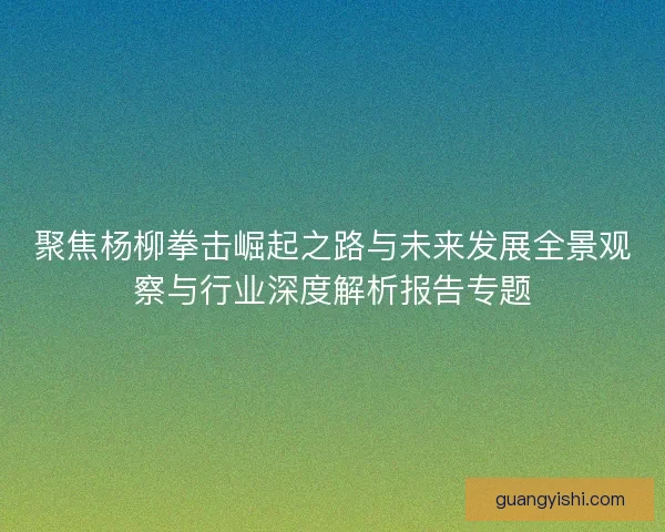 聚焦杨柳拳击崛起之路与未来发展全景观察与行业深度解析报告专题 聚焦杨柳拳击崛起之路与未来发展全景观察与行业深度解析报告专题